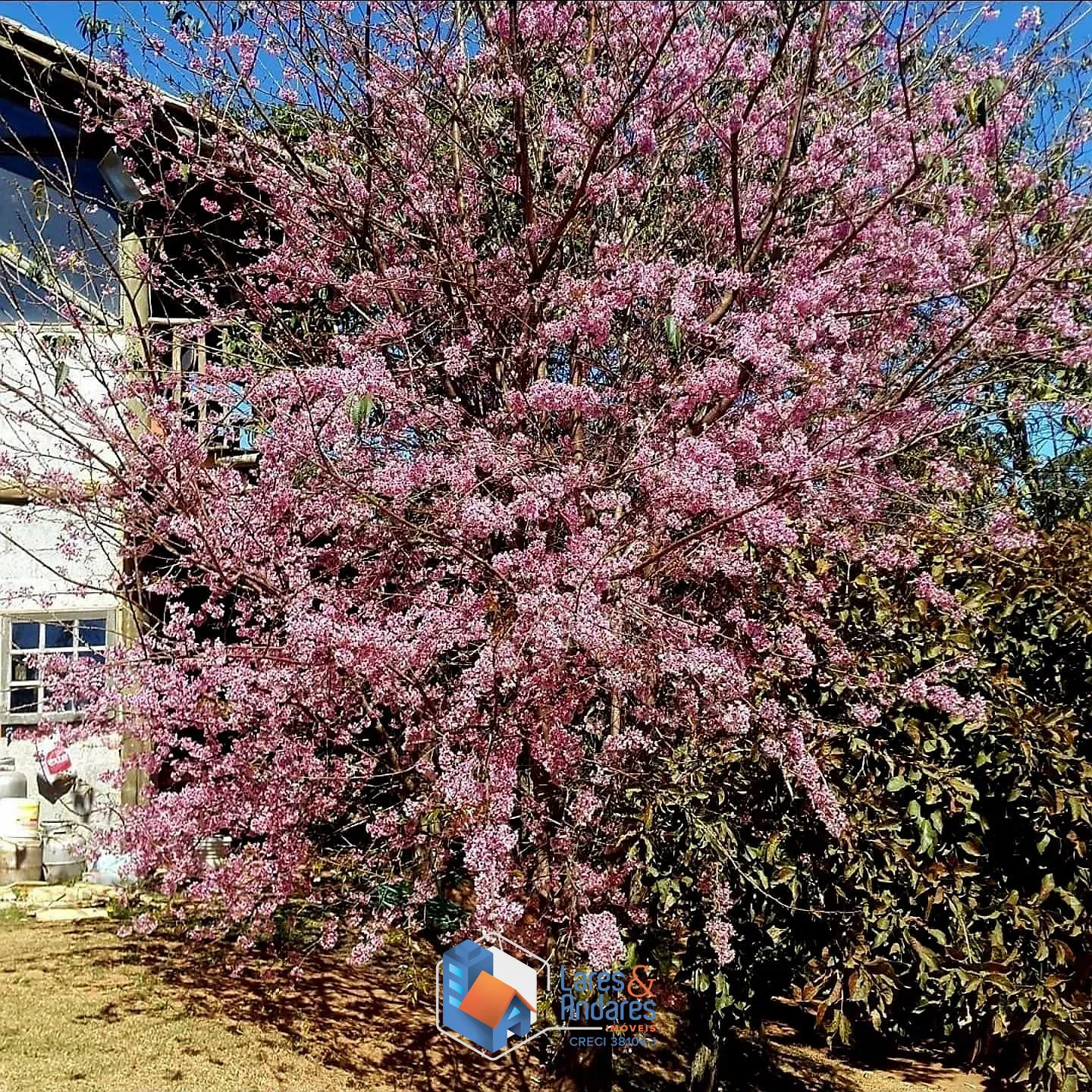 Casa, 3 quartos, 436 m² - Foto 41