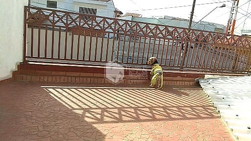 Casa, 3 quartos, 185 m² - Foto 4