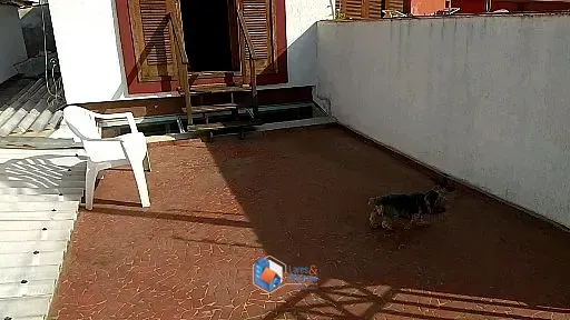 Casa, 3 quartos, 185 m² - Foto 3