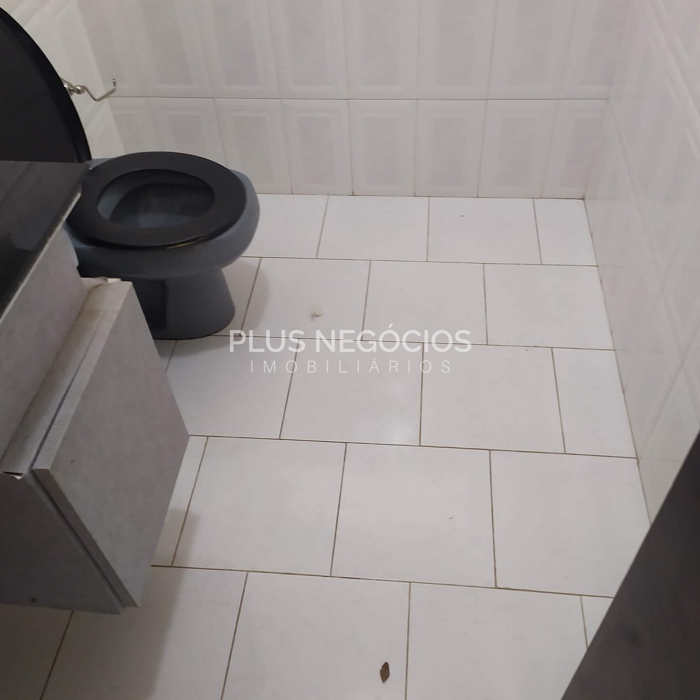 Casa, 3 quartos, 425 m² - Foto 38