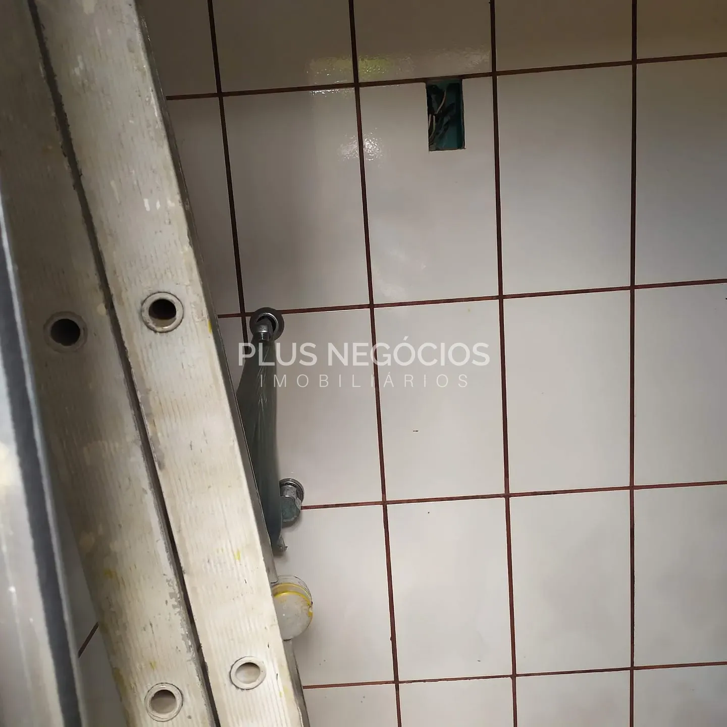 Casa, 3 quartos, 425 m² - Foto 6
