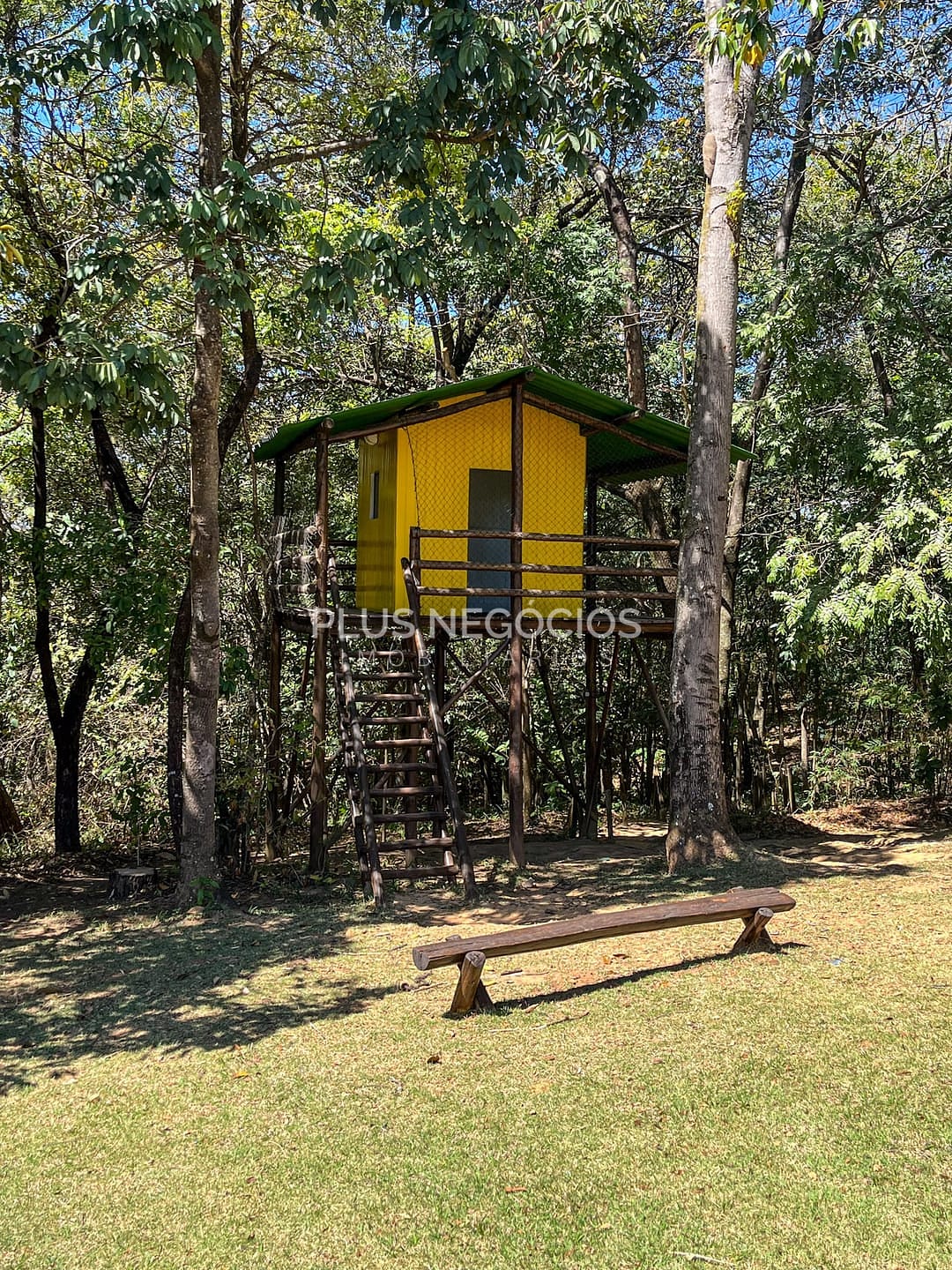 Casa, 4 quartos, 526 m² - Foto 63