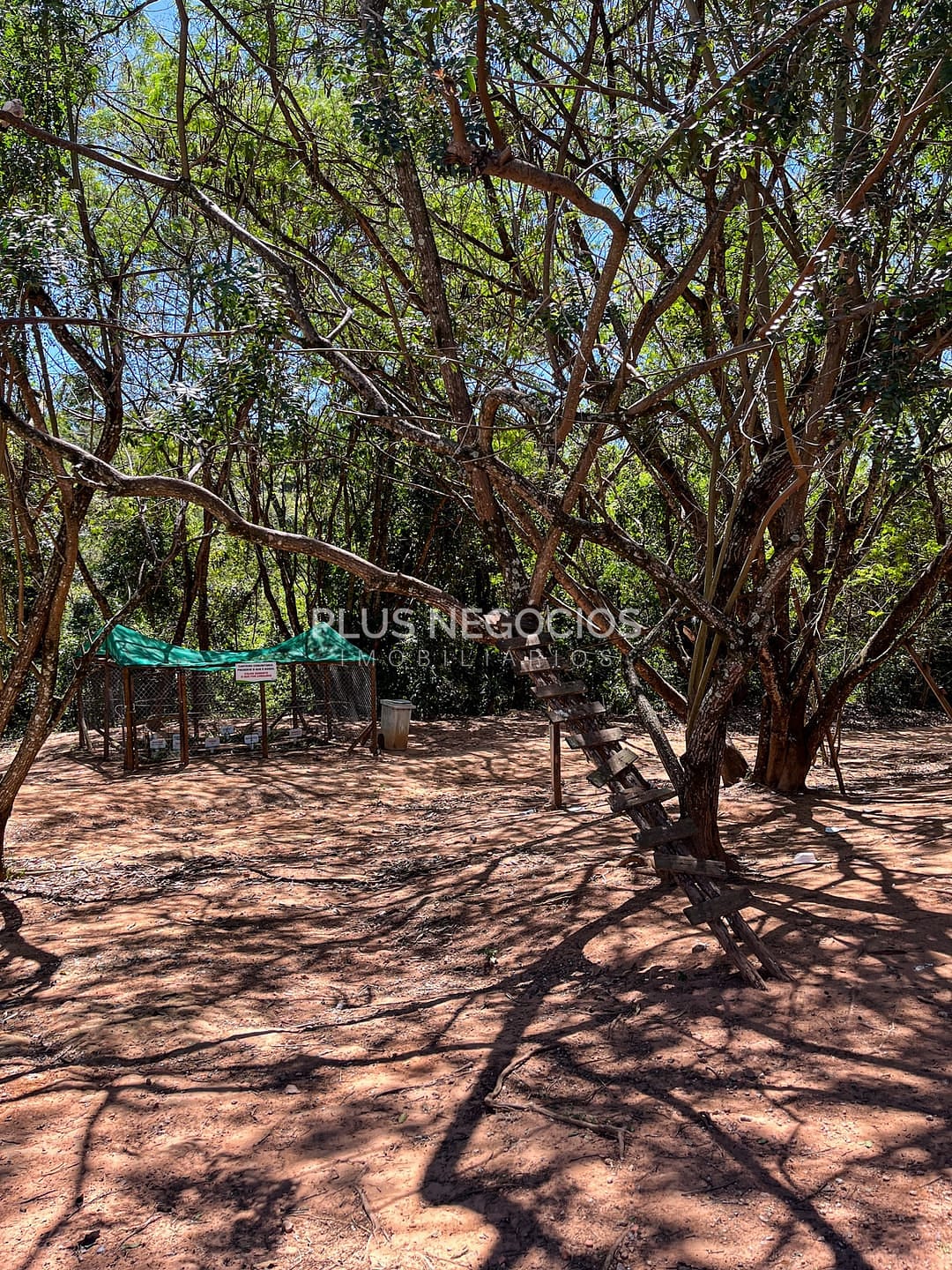 Casa, 4 quartos, 526 m² - Foto 67