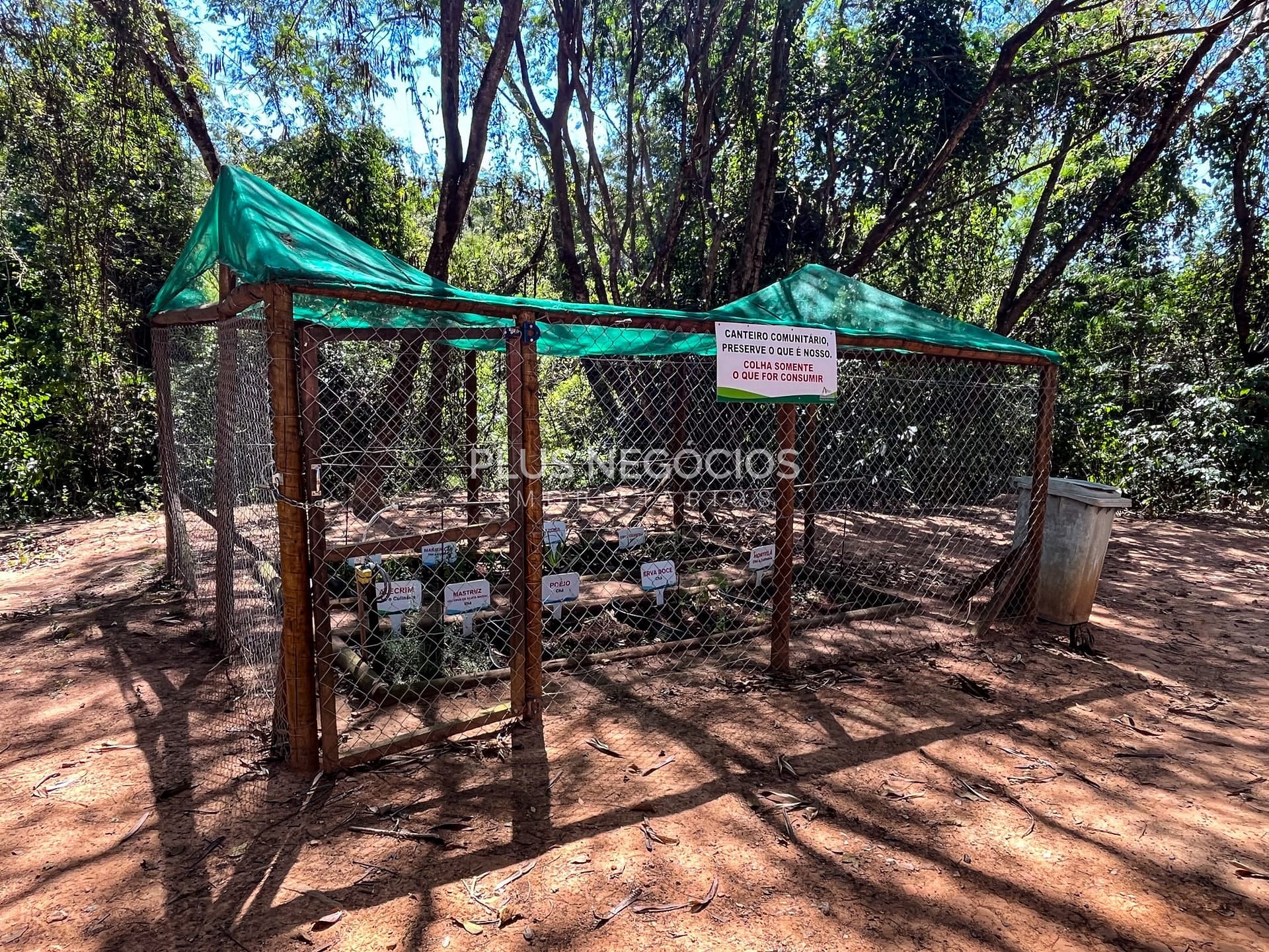 Casa, 4 quartos, 526 m² - Foto 69