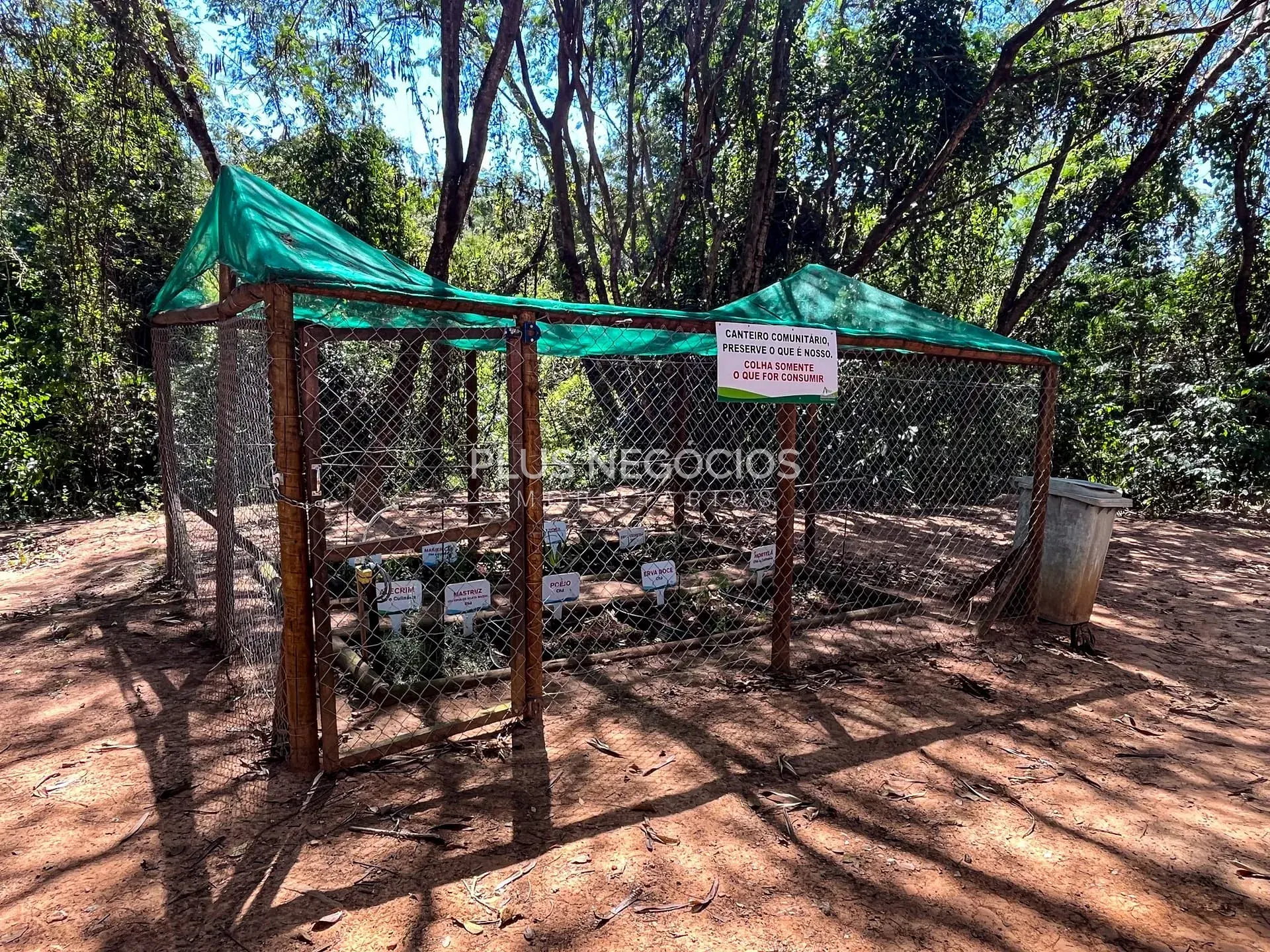 Casa, 4 quartos, 526 m² - Foto 69