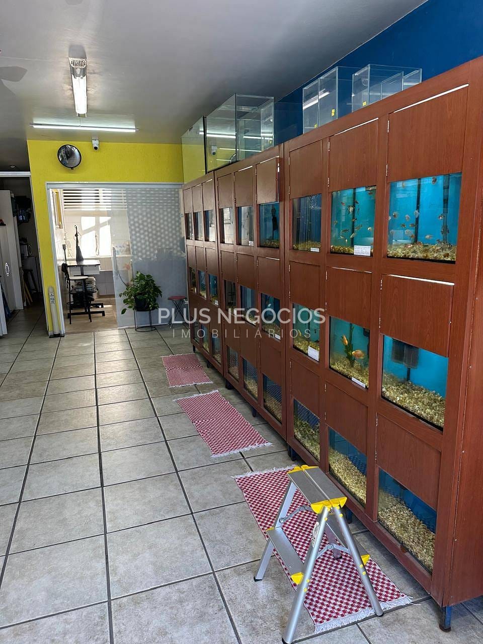 Casa, 2 quartos, 193 m² - Foto 42