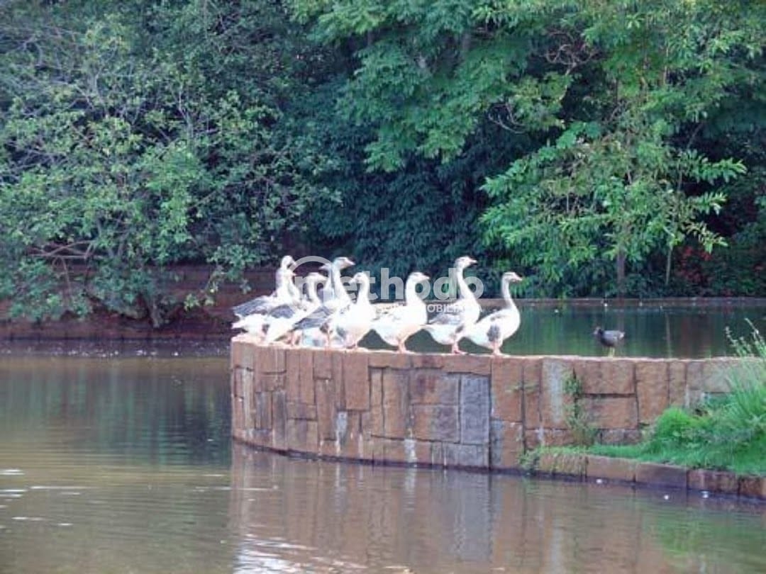 Casa, 4 quartos, 576 m² - Foto 17