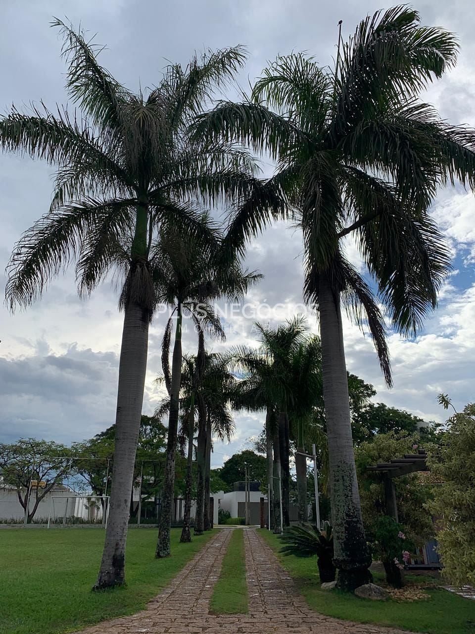 Casa, 3 quartos, 621 m² - Foto 4