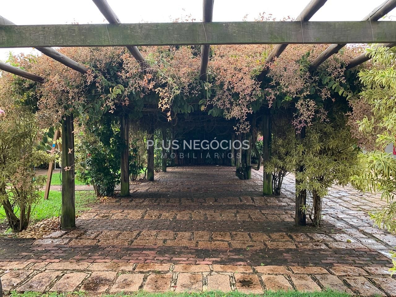 Casa, 3 quartos, 621 m² - Foto 8