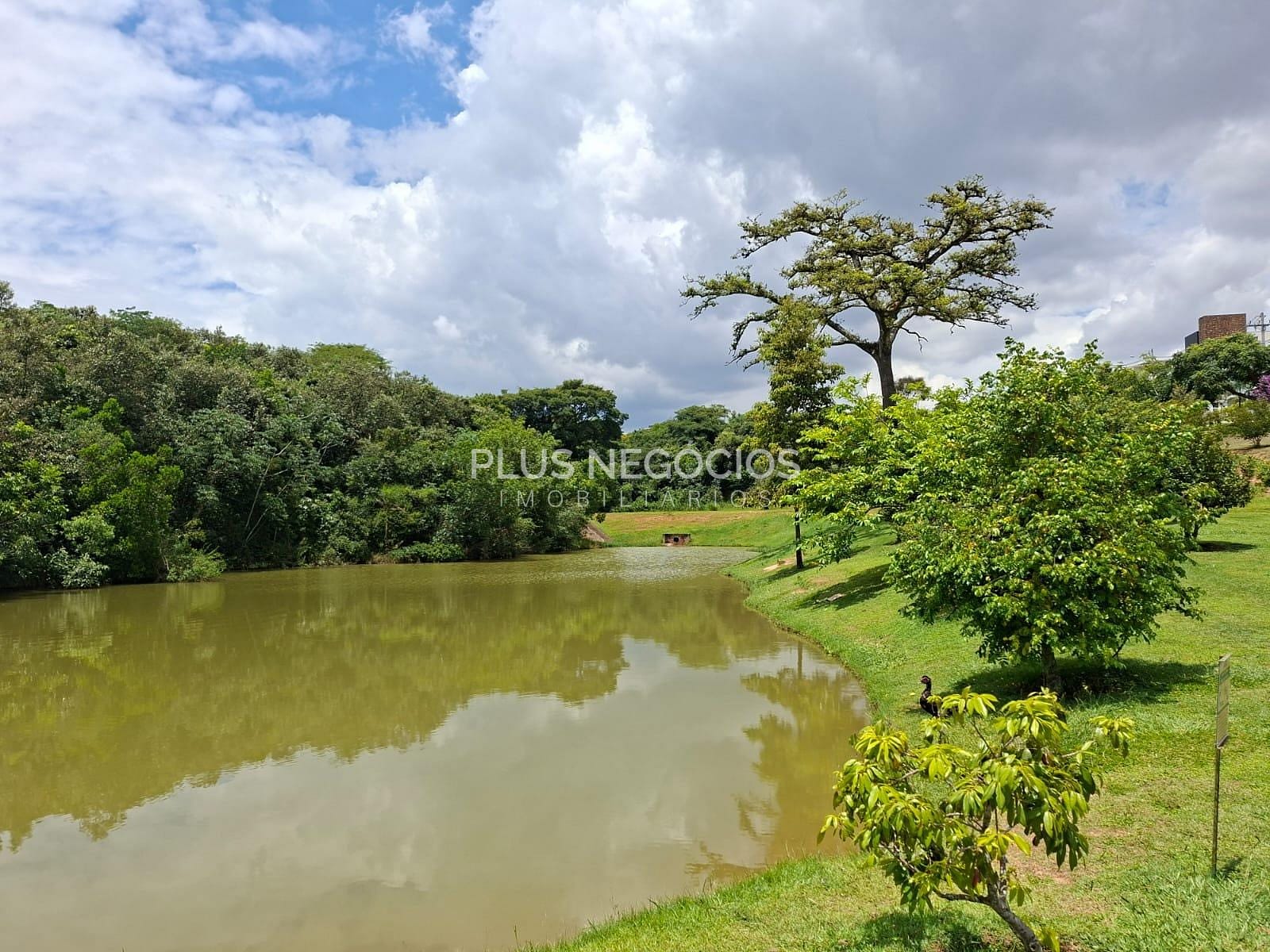 Terreno, 250 m² - Foto 23