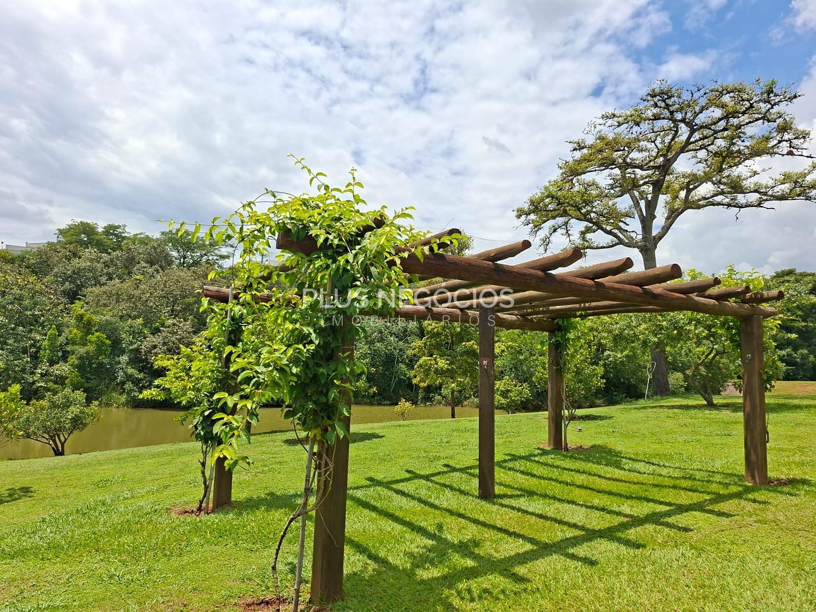 Terreno, 250 m² - Foto 24