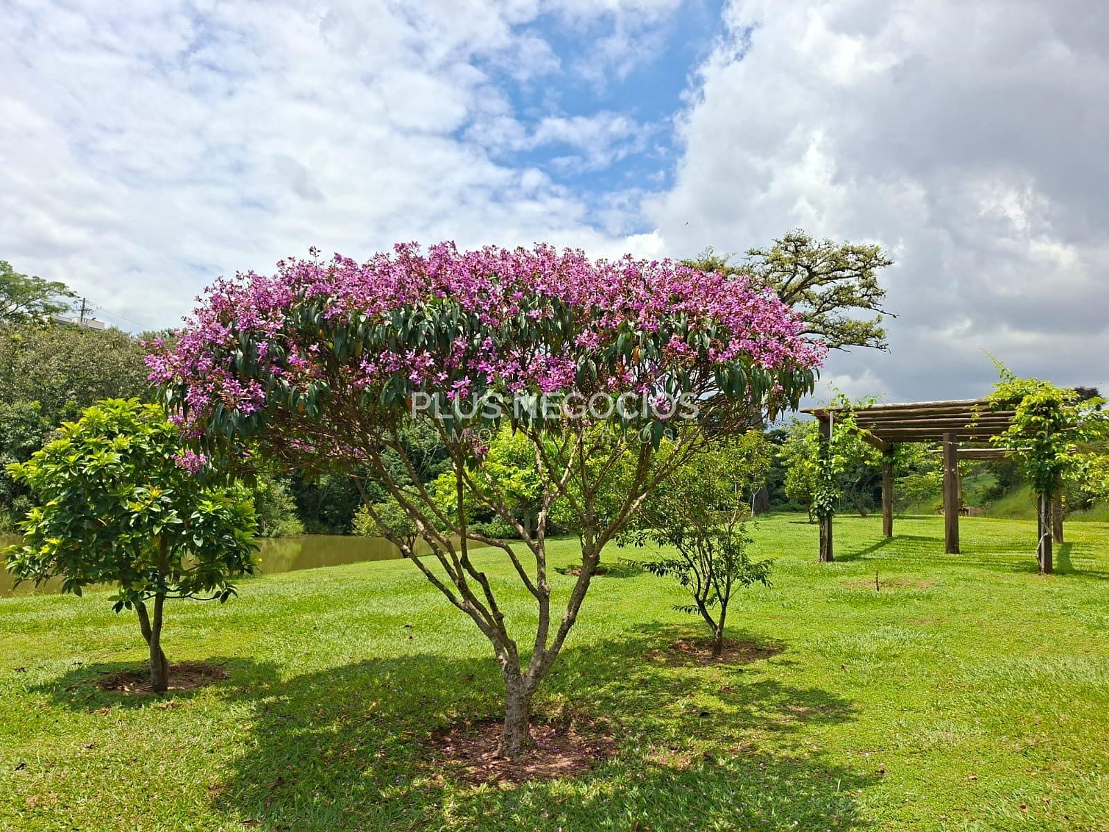 Terreno, 250 m² - Foto 19