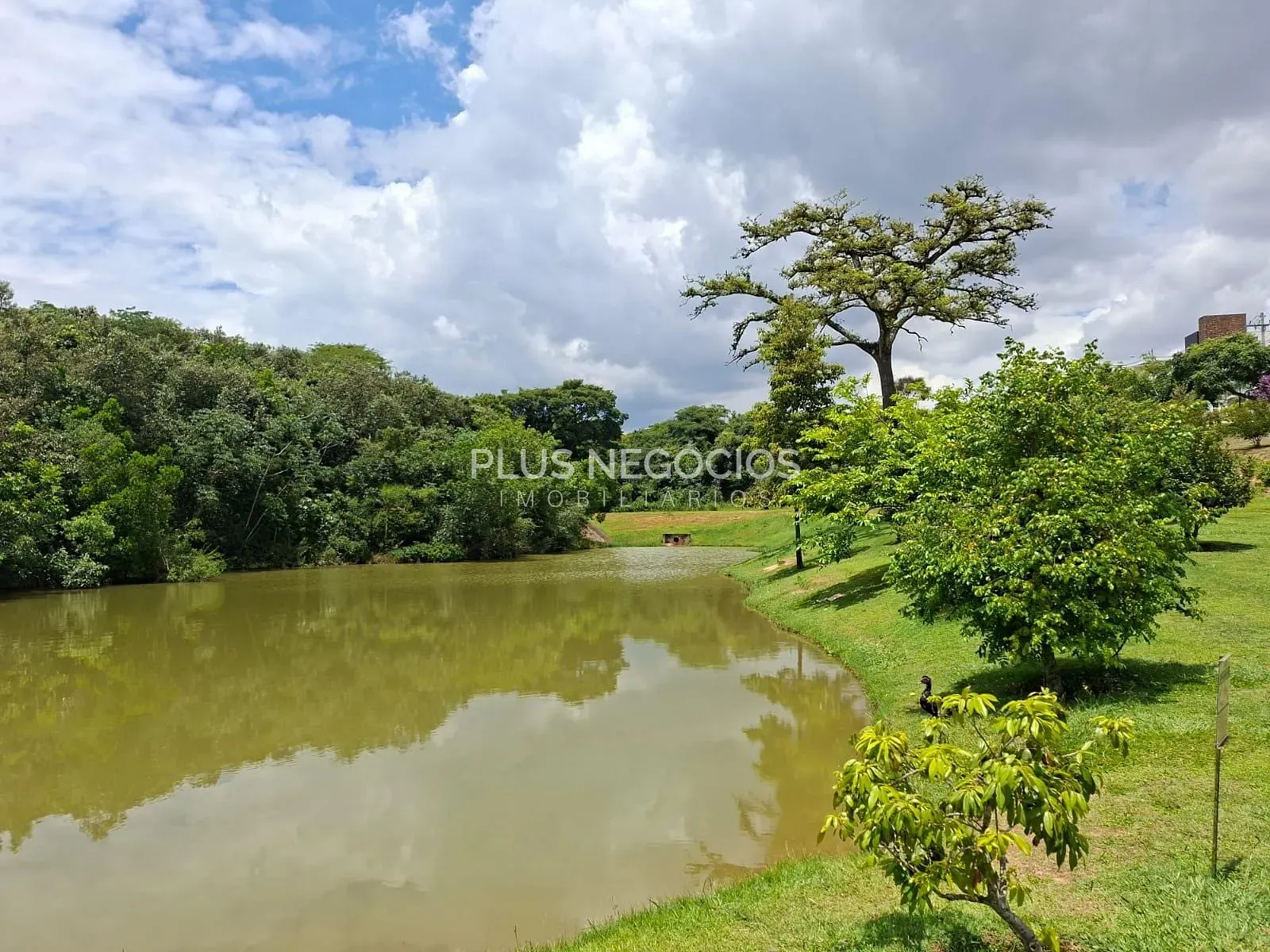 Terreno, 250 m² - Foto 23