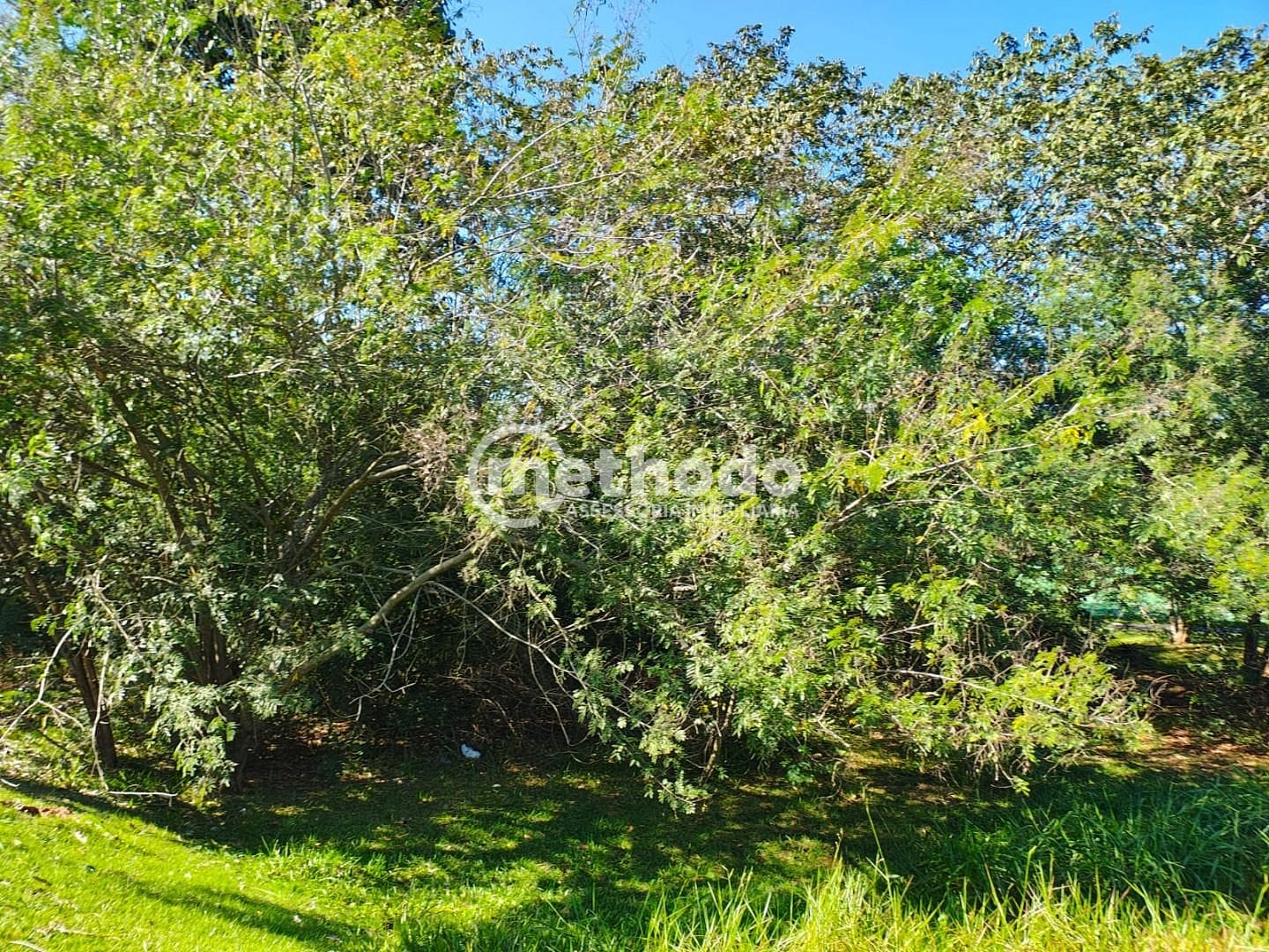 Casa, 4 quartos, 330 m² - Foto 32