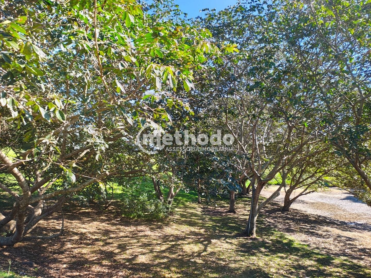 Casa, 4 quartos, 330 m² - Foto 40