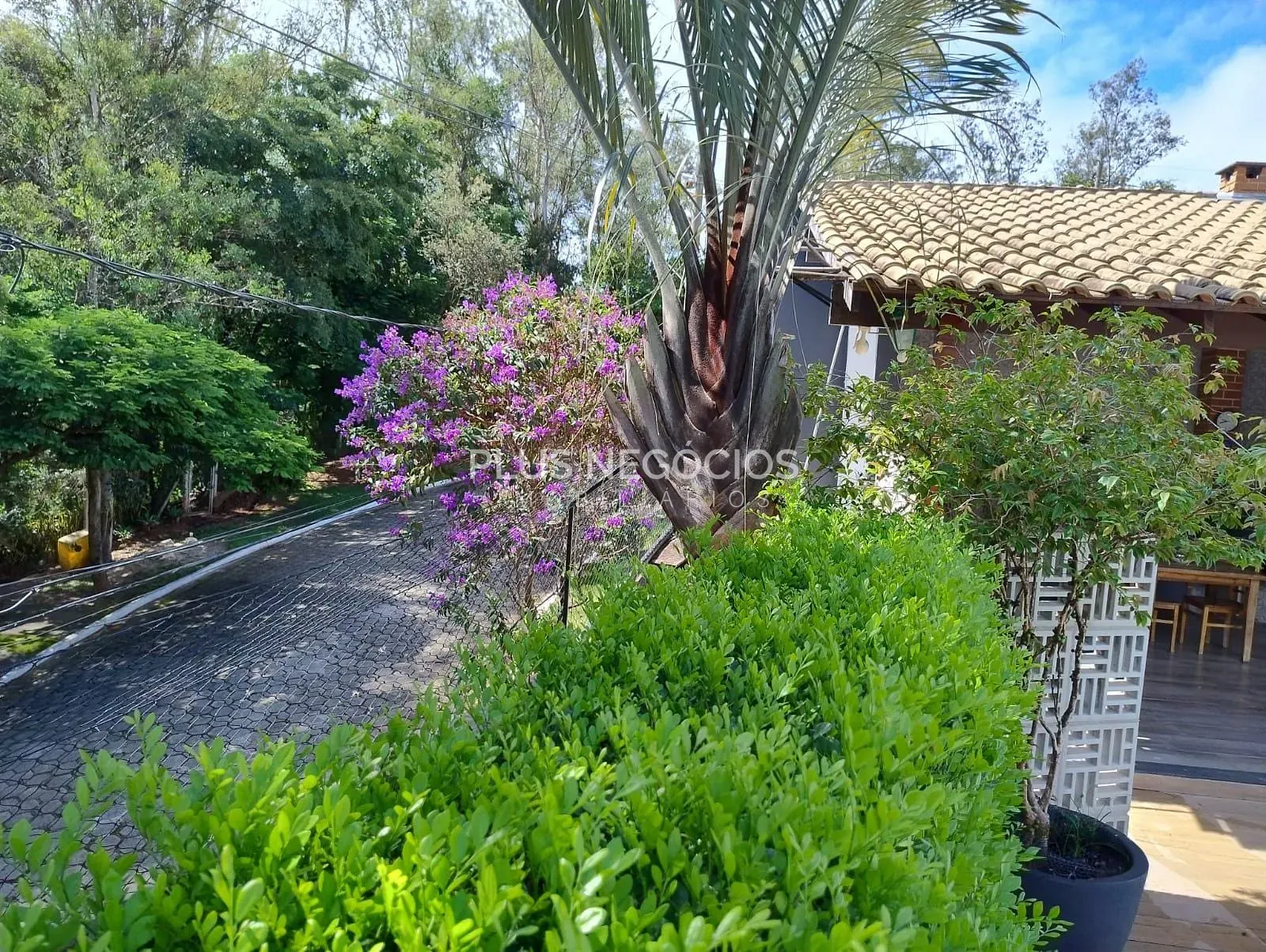 Casa, 3 quartos, 251 m² - Foto 48