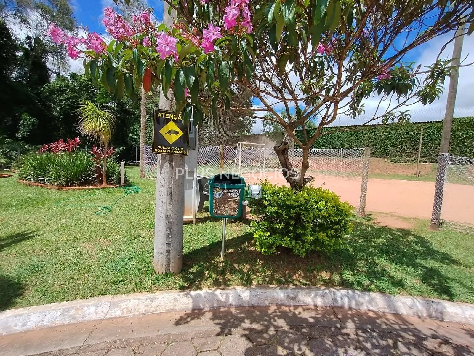 Casa, 3 quartos, 251 m² - Foto 53