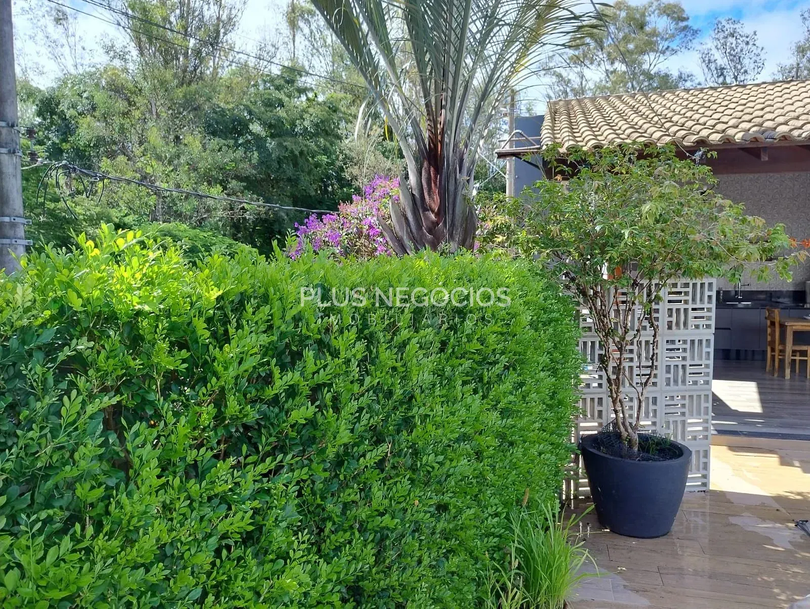 Casa, 3 quartos, 251 m² - Foto 58