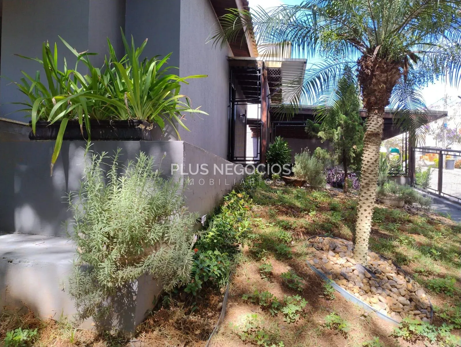 Casa, 3 quartos, 251 m² - Foto 60