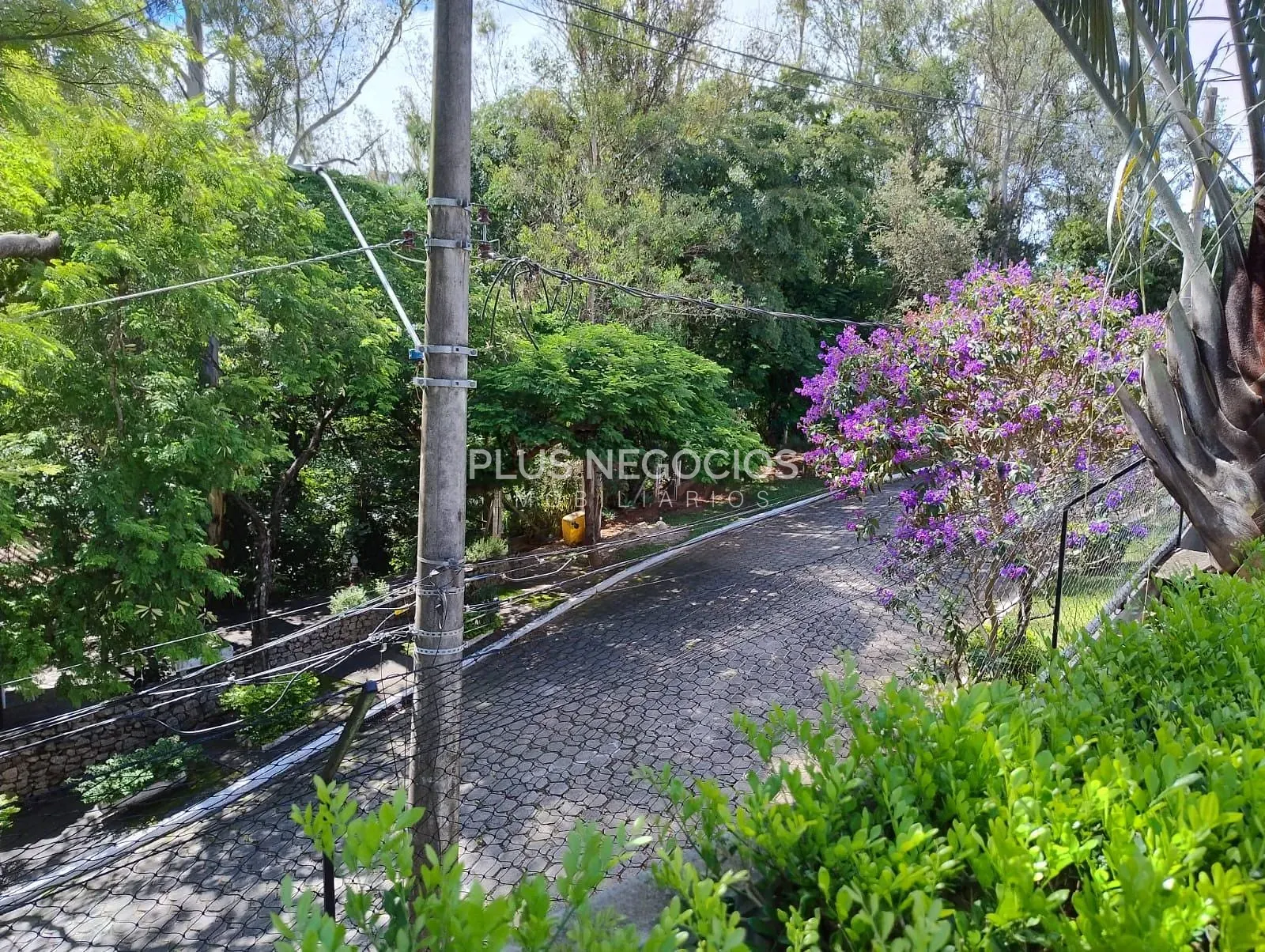 Casa, 3 quartos, 251 m² - Foto 62
