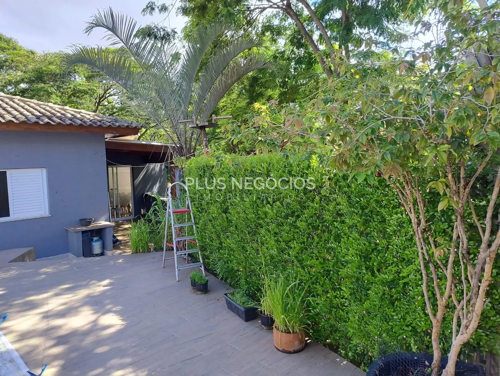 Casa, 3 quartos, 251 m² - Foto 67