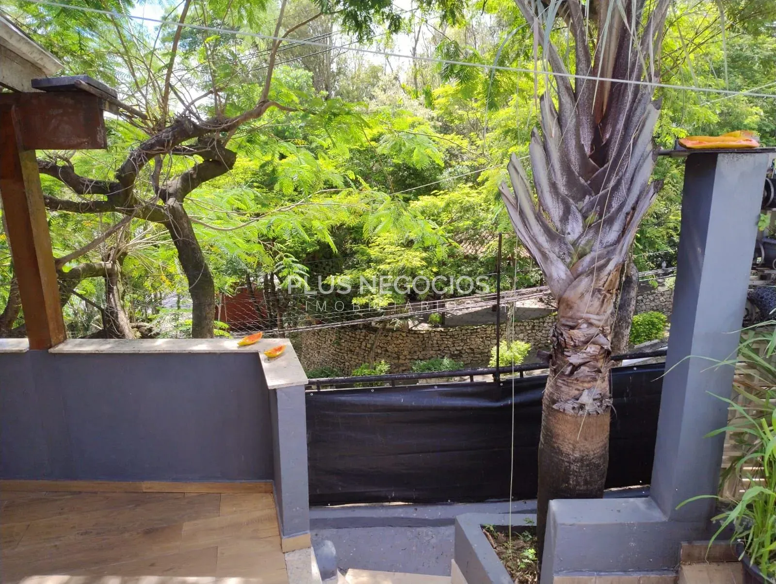 Casa, 3 quartos, 251 m² - Foto 70