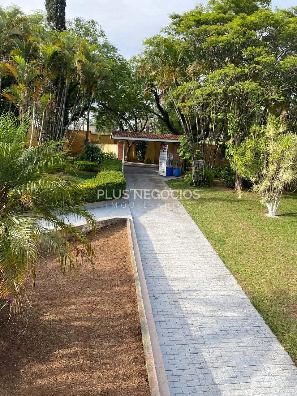 Casa, 4 quartos, 383 m² - Foto 4
