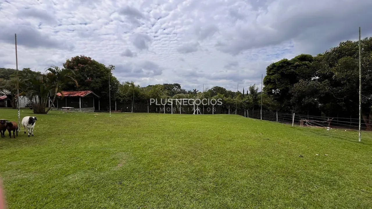 Casa, 4 quartos, 383 m² - Foto 4