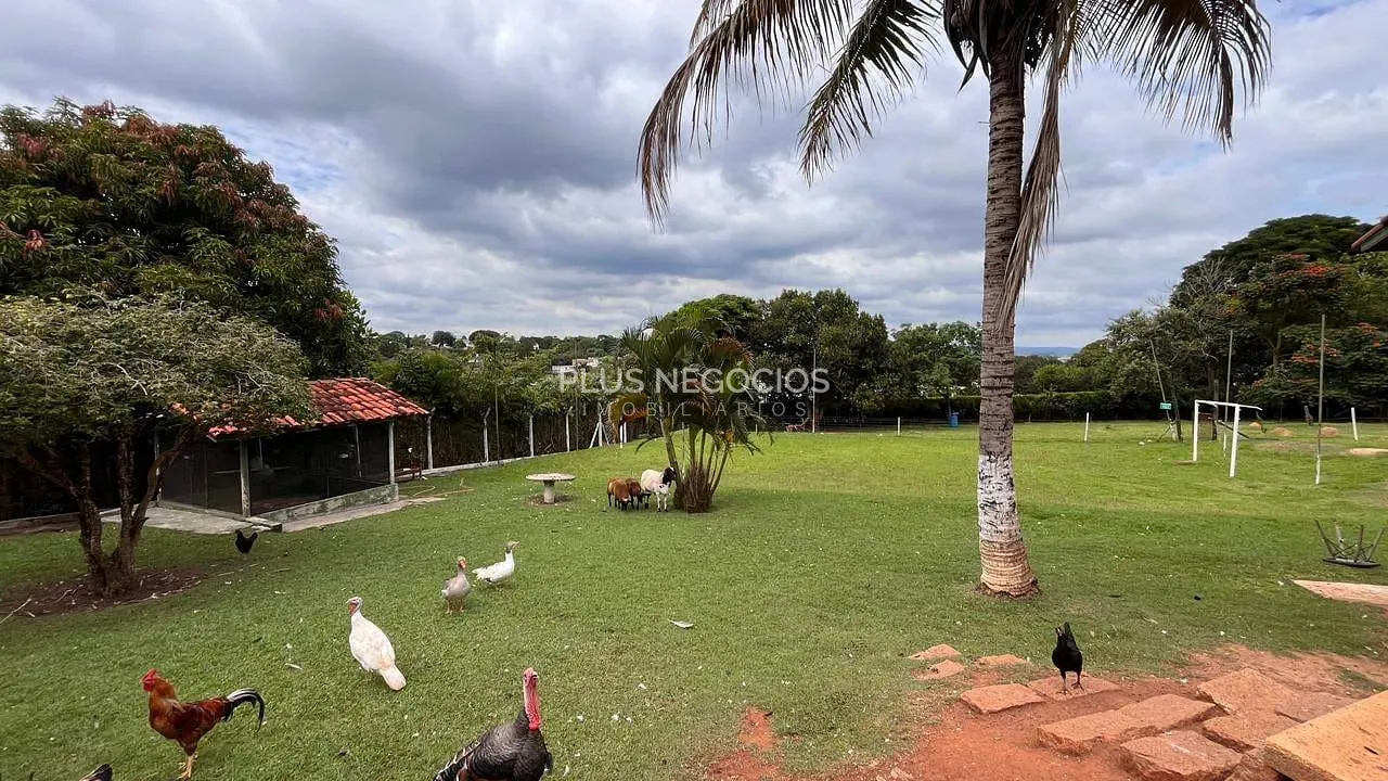 Casa, 4 quartos, 383 m² - Foto 5