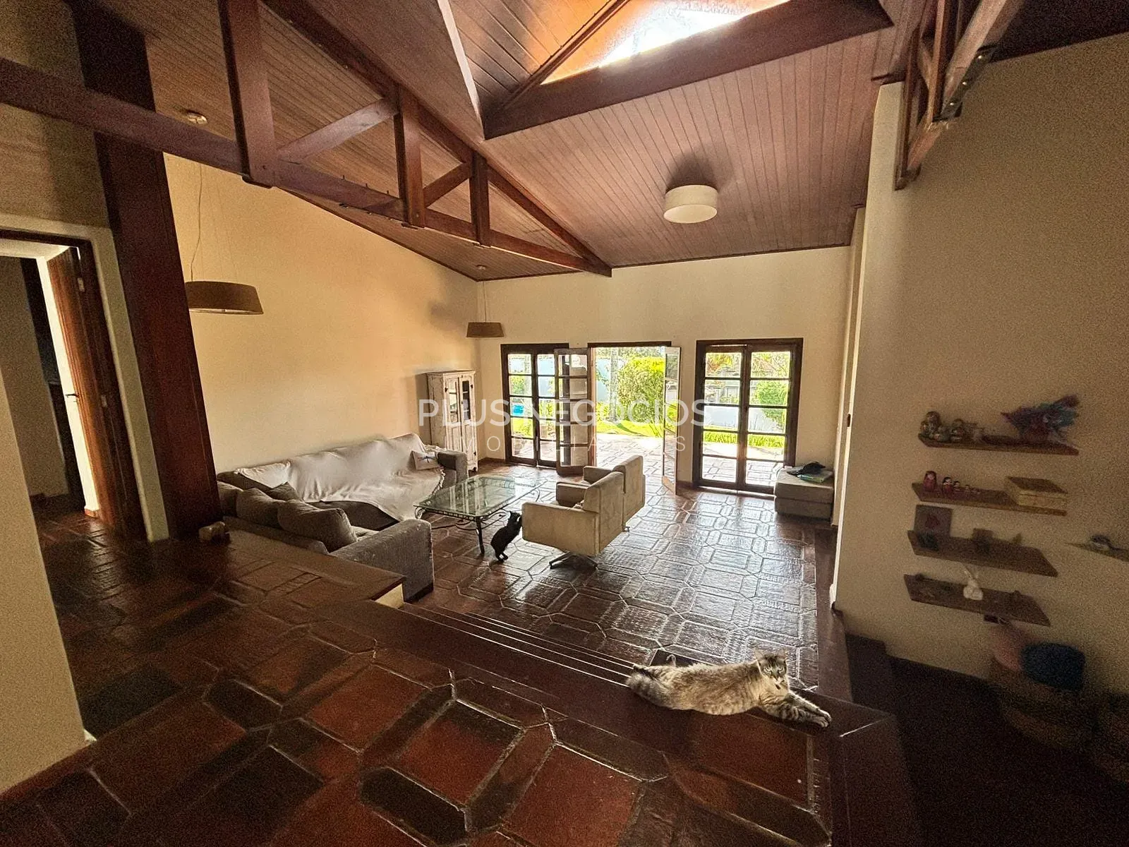 Casa, 4 quartos, 369 m² - Foto 11