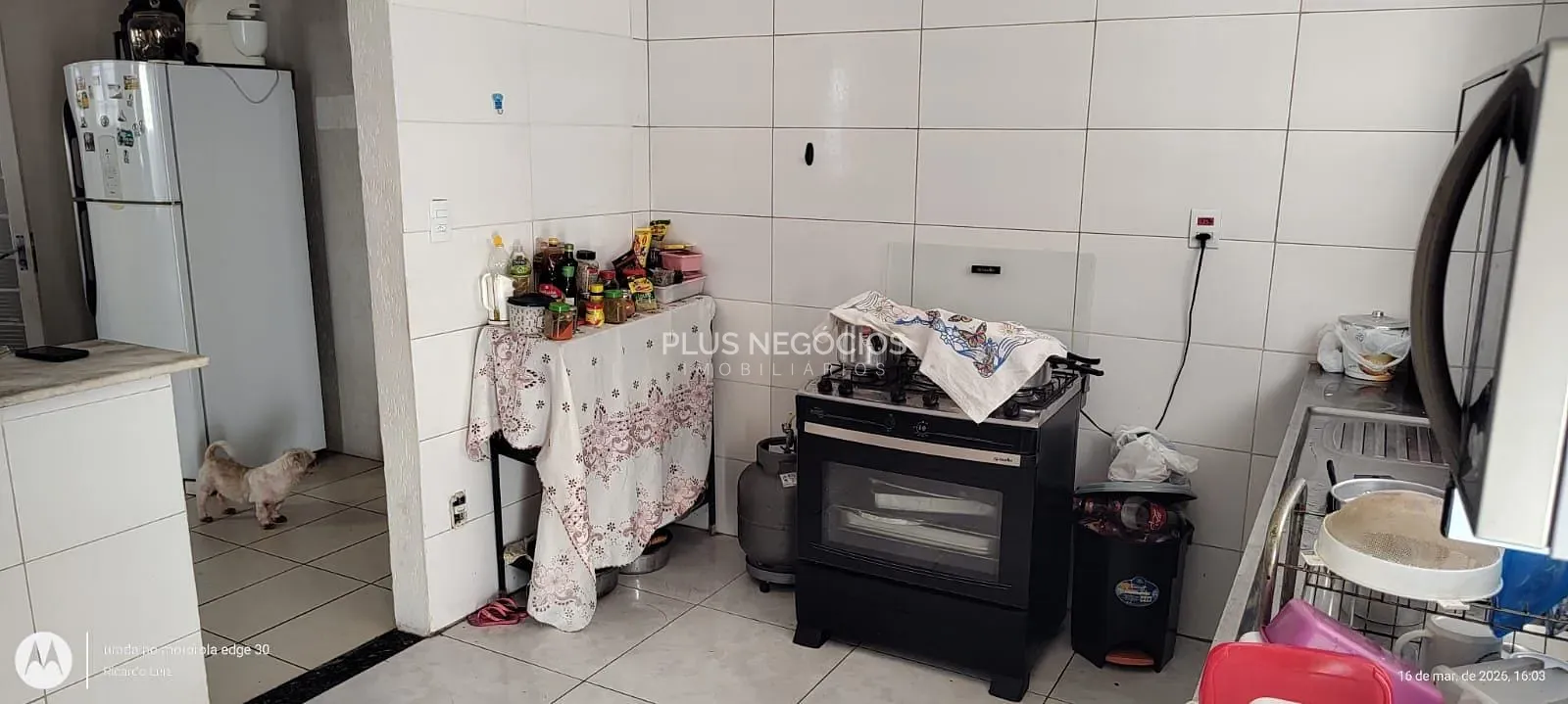 Casa, 5 quartos, 250 m² - Foto 6