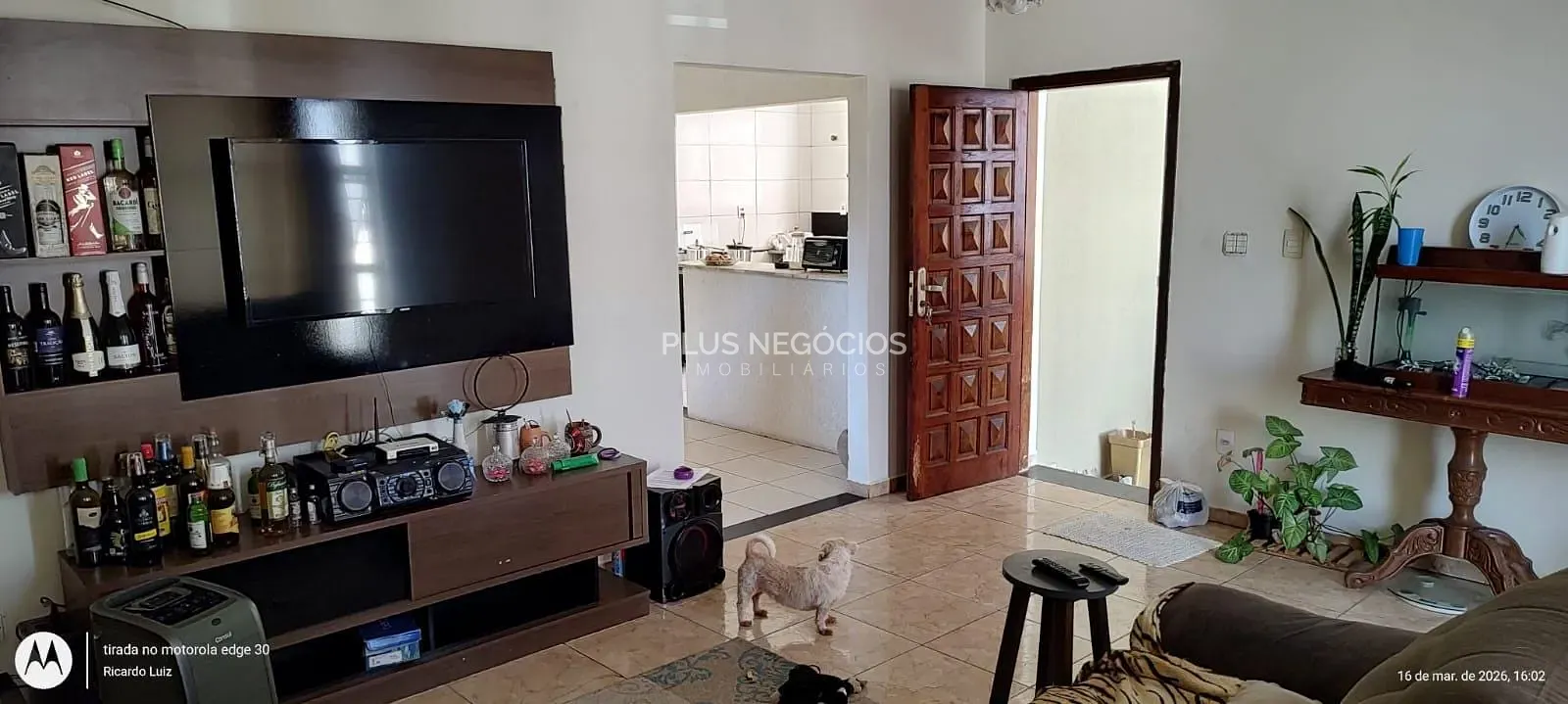 Casa, 5 quartos, 250 m² - Foto 5