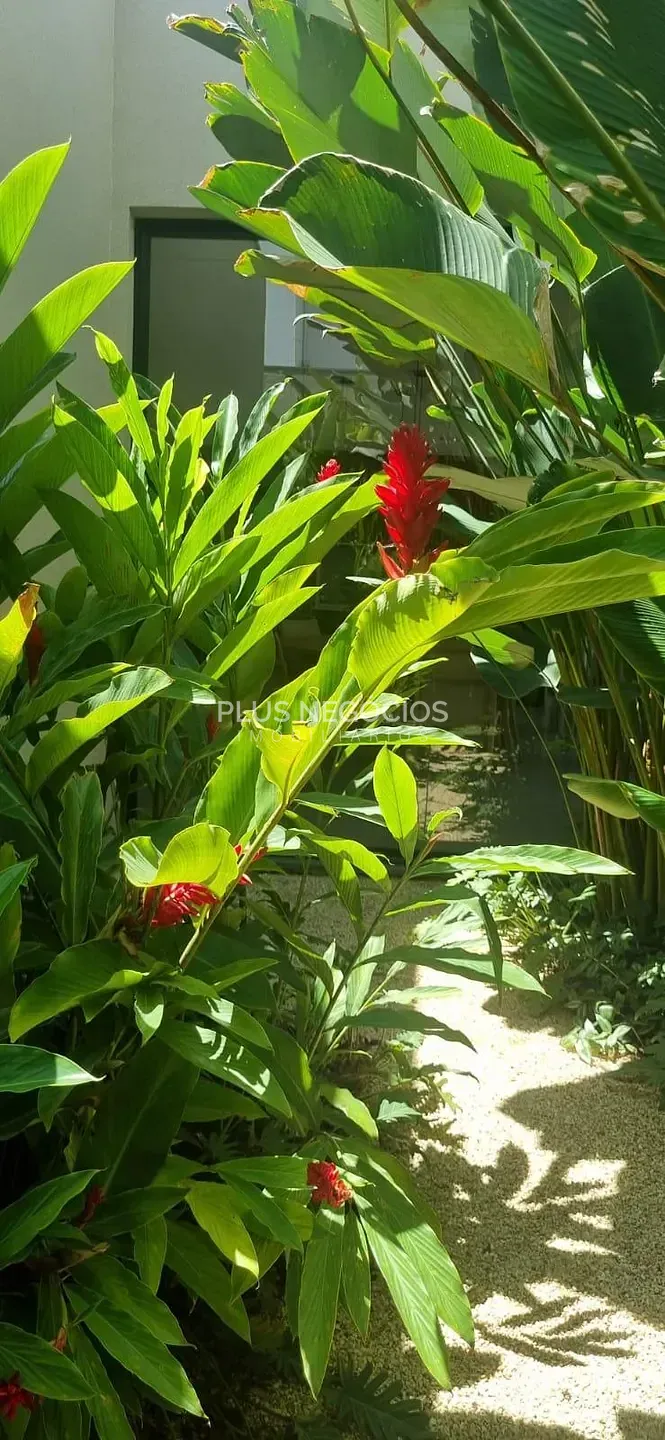 Casa, 4 quartos, 469 m² - Foto 45