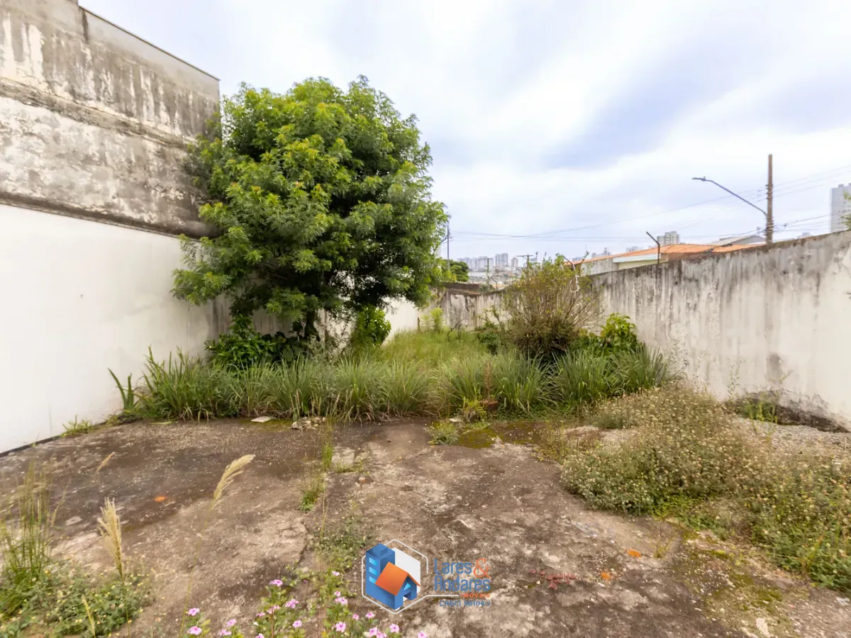 Casa, 3 quartos, 400 m² - Foto 6