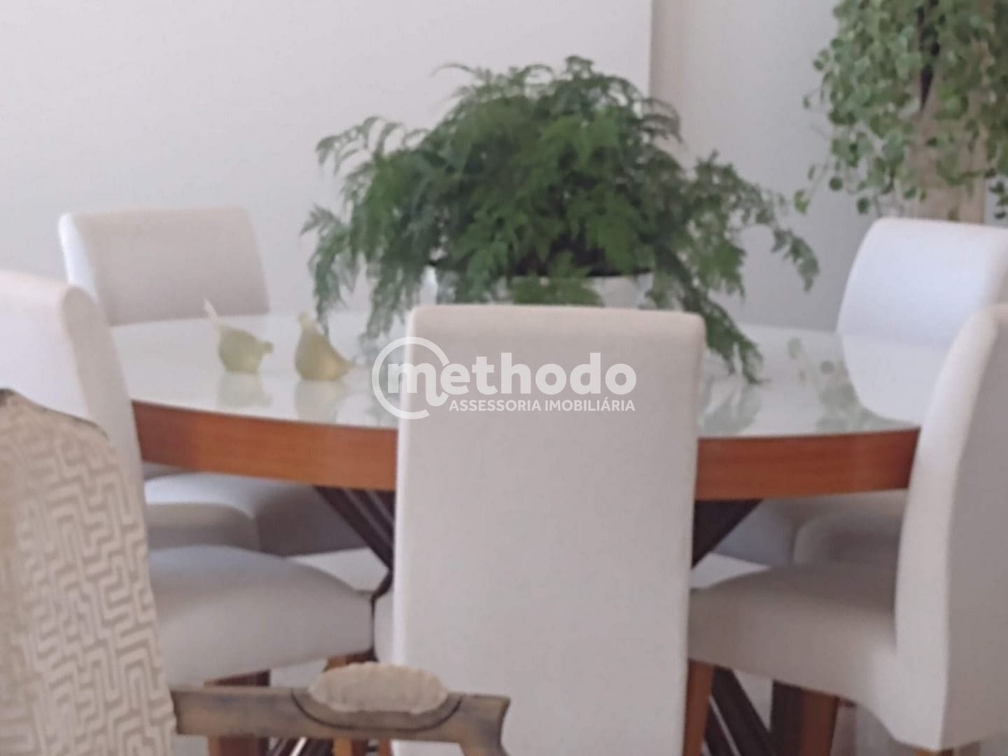 Casa, 4 quartos, 496 m² - Foto 46