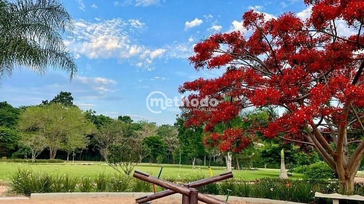 Casa, 3 quartos, 310 m² - Foto 26