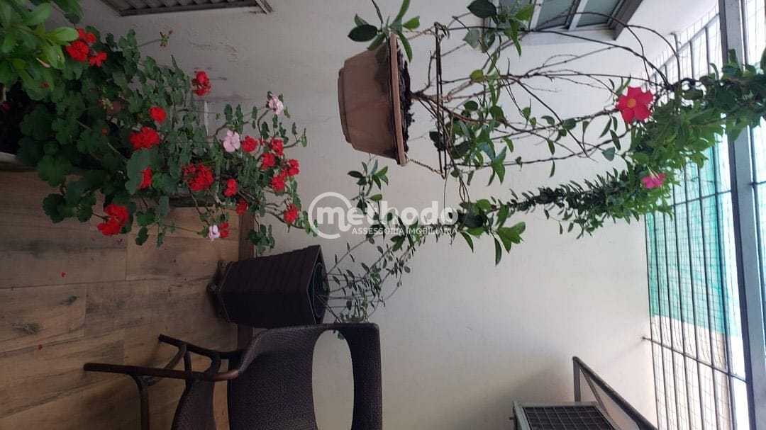 Casa, 4 quartos, 205 m² - Foto 30