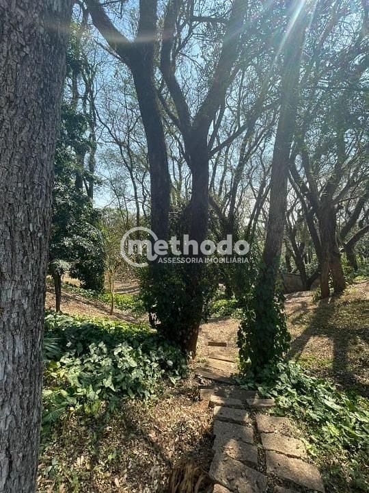 Casa, 3 quartos, 115 m² - Foto 12