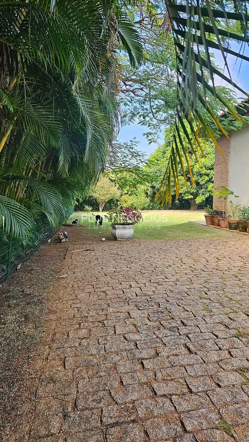 Casa, 4 quartos, 600 m² - Foto 11