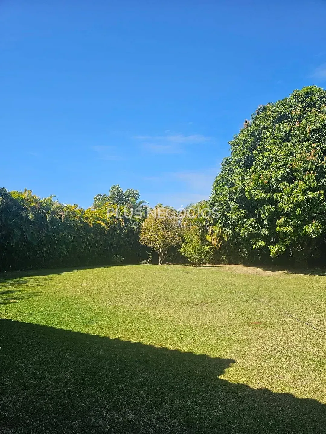 Casa, 4 quartos, 600 m² - Foto 3
