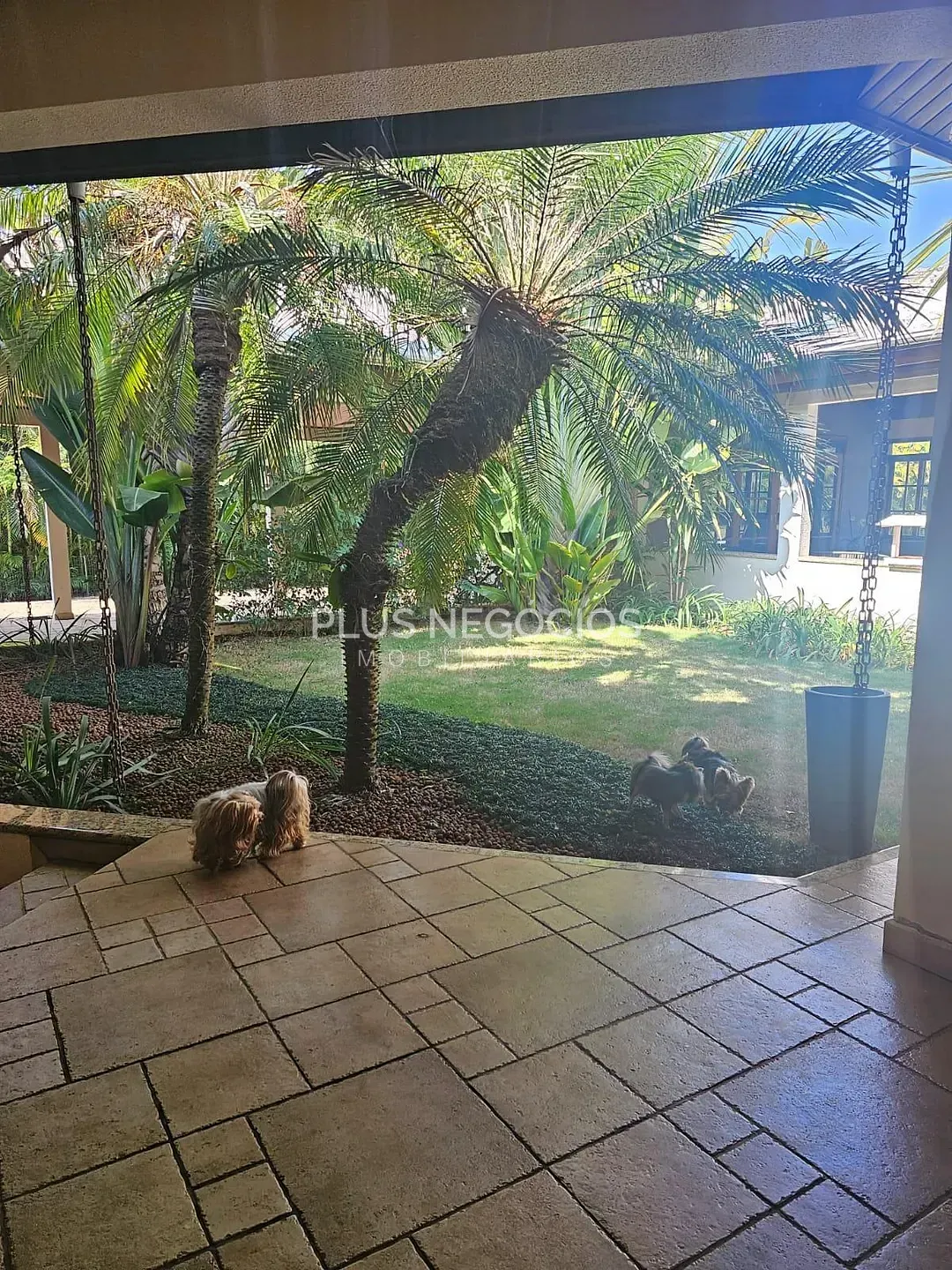 Casa, 4 quartos, 600 m² - Foto 8