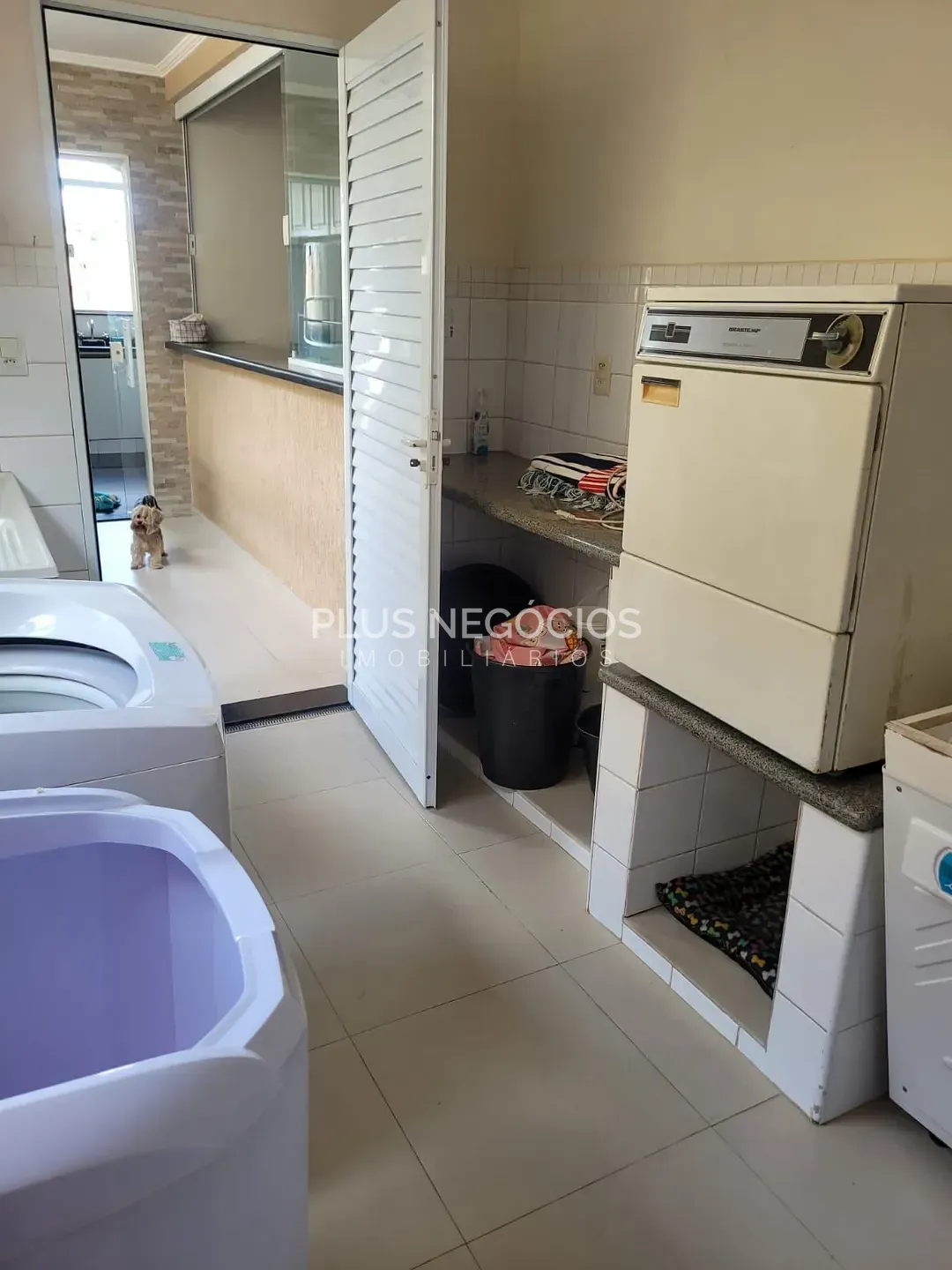 Casa, 3 quartos, 420 m² - Foto 18