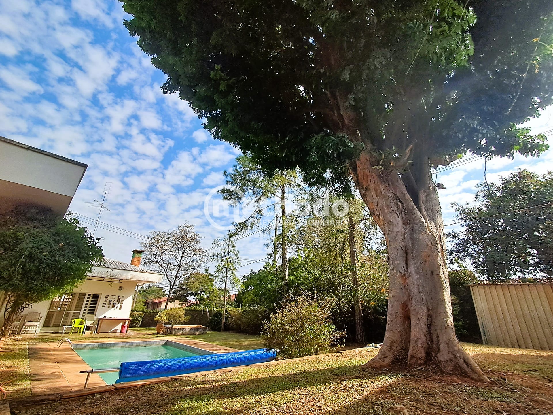 Casa, 4 quartos, 364 m² - Foto 37