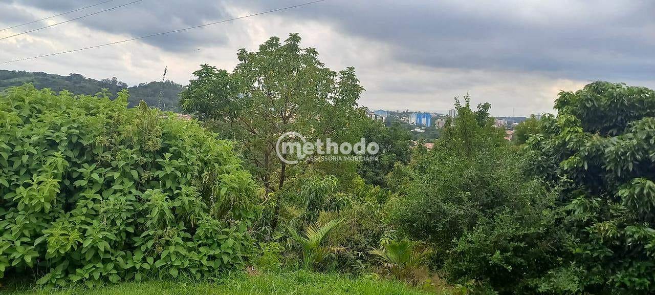 Casa, 3 quartos, 276 m² - Foto 10