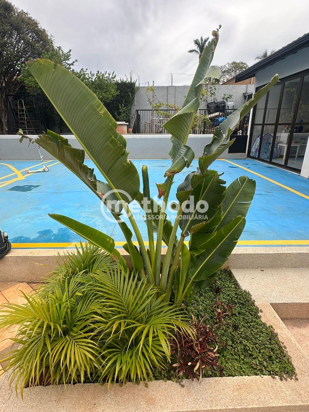 Casa, 5 quartos, 520 m² - Foto 55