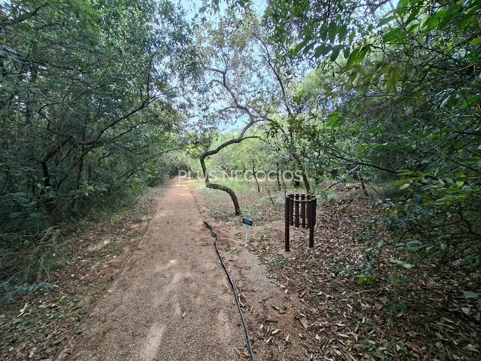 Casa, 3 quartos, 175 m² - Foto 31