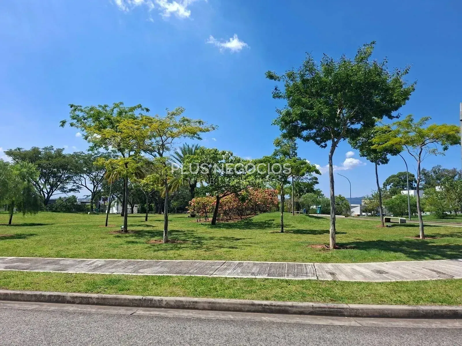 Casa, 3 quartos, 620 m² - Foto 17