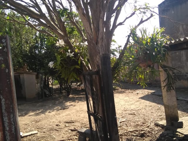 Casa 4 quartos e 2 banheiros, à venda, no bairro Centro em Roseira