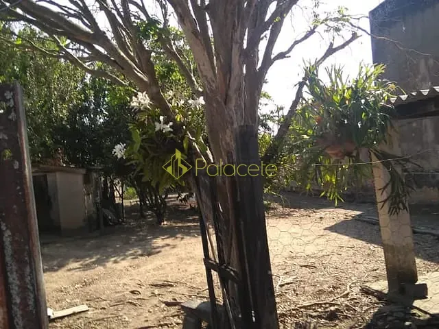 Casa 4 quartos e 2 banheiros, à venda, no bairro Centro em Roseira