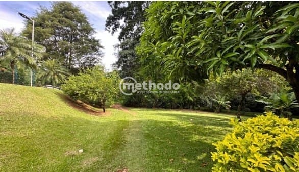 Casa, 4 quartos, 440 m² - Foto 62